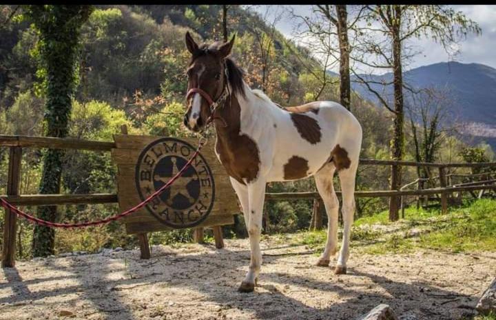 Belmonte Ranch Villa Belmonte Castello Екстериор снимка